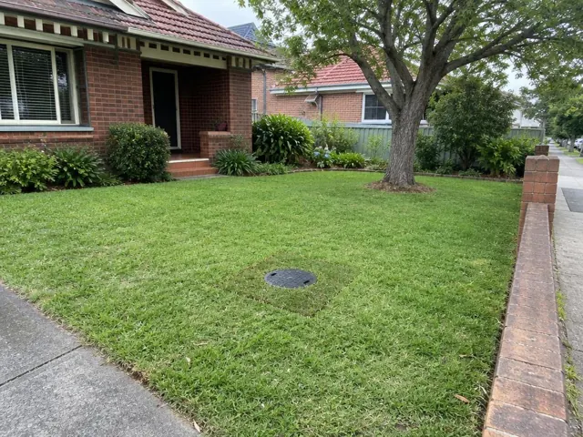 Front lawn with a capped sewer access cover beside a brick house and tree in Maroubra